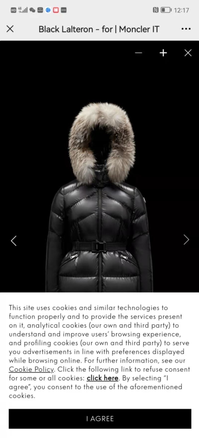 Moncler Down Jackets